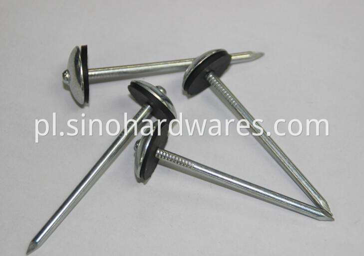 roofing nails